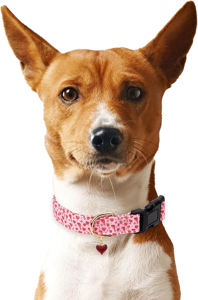 Cotton Dog Collar,Valentine's Day Soft and Cute Puppy Collars with Hearts Patterned Design for Girl Female Boy Dogs,Adjustable Buckle Pet Collar for Small Medium Large Dogs (Red Love Heart, S)
