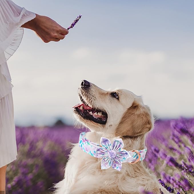 Lionheart Glory Dog Collar - Purple With Flower, Cute Floral Pattern, Adjustable for X-Large Dogs