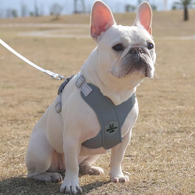 FEimaX Dog Harness Pet X Frame No Pull Step-in Harnesses with Leash Set, Adjustable Reflective Choke Free Puppy with Padded Vest for Small, Medium Dogs and Cats Walking Training