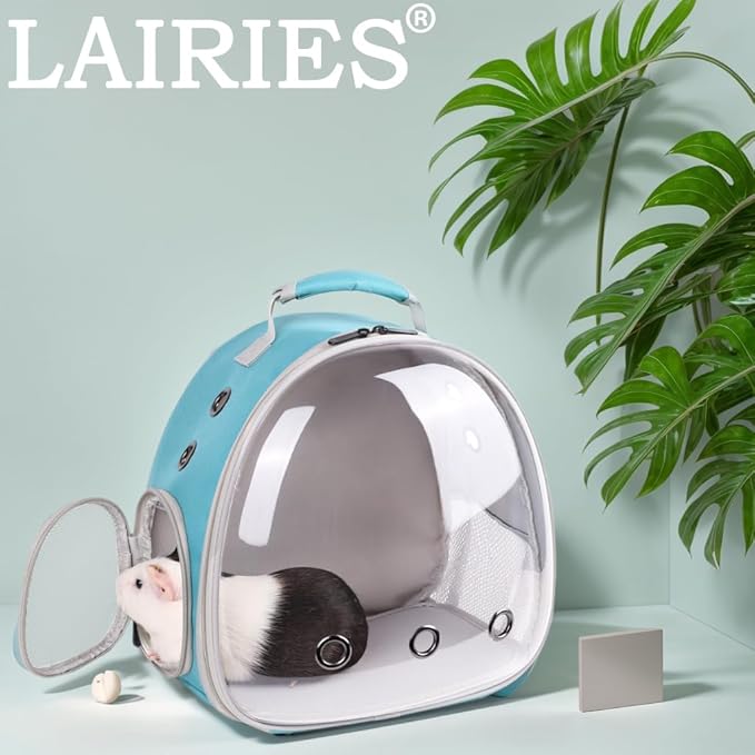 Portable Guinea Pig Backpack with Small Bag Harness and Leash Set, Space Capsule Bubble Pet Carrier Cage Travel for Rabbit, Bearded Dragon, Sugar Glider (Green, Backpack)