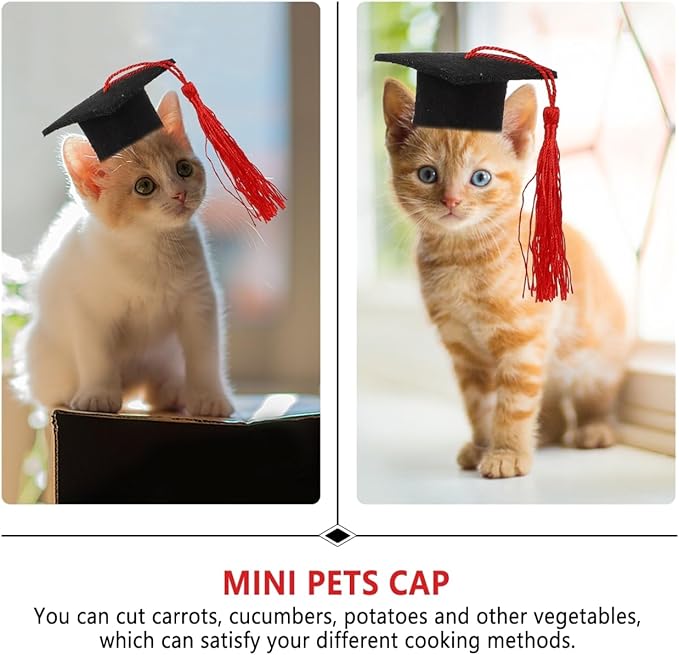 KESYOO 4pcs Red Small Dog Graduation Cap with Tassel Pet Graduation Accessories