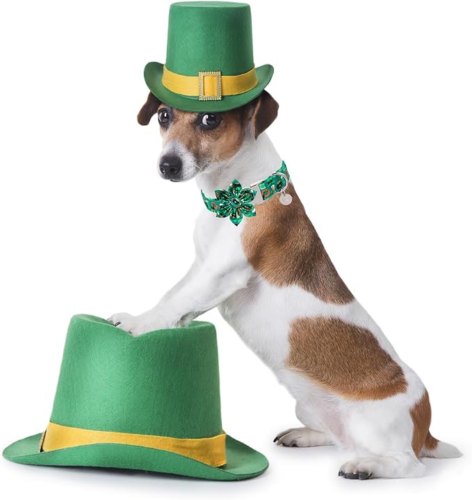 St. Patrick's Dog Collar with Flower, Cotton St. Patrick's Flower Collar for Girl Boy Dog, Lucky Shamrock Dog Collar with Metal Buckle, Green, Spring, S