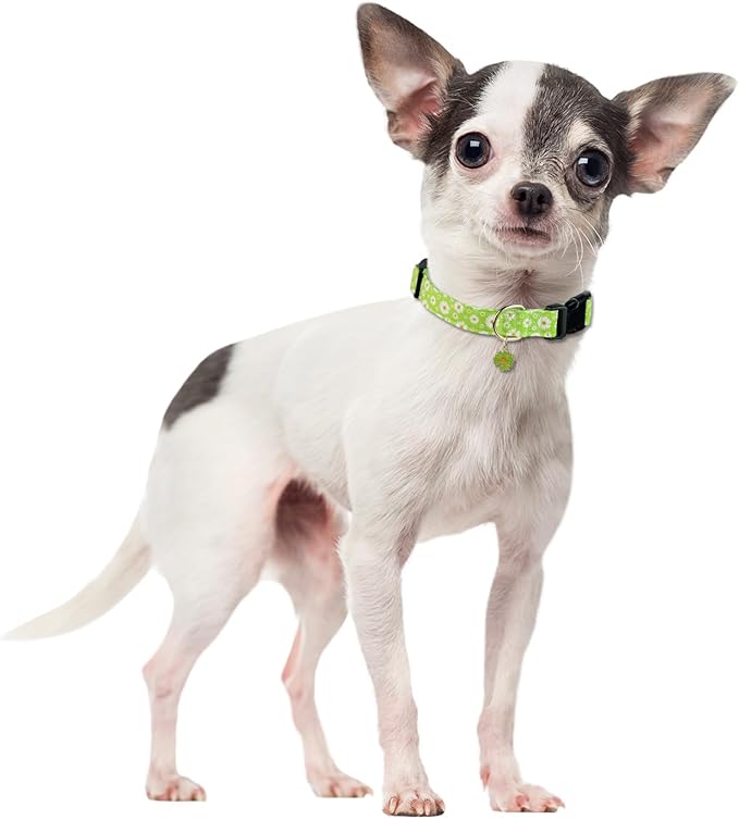 Cute Cotton Dog Collar for Boy and Girl Dogs Fresh Flower Pattern Puppy Collar for Small Medium Large Dogs Adjustable Flower Pattern Soft Pet Collar for Male Female Dogs