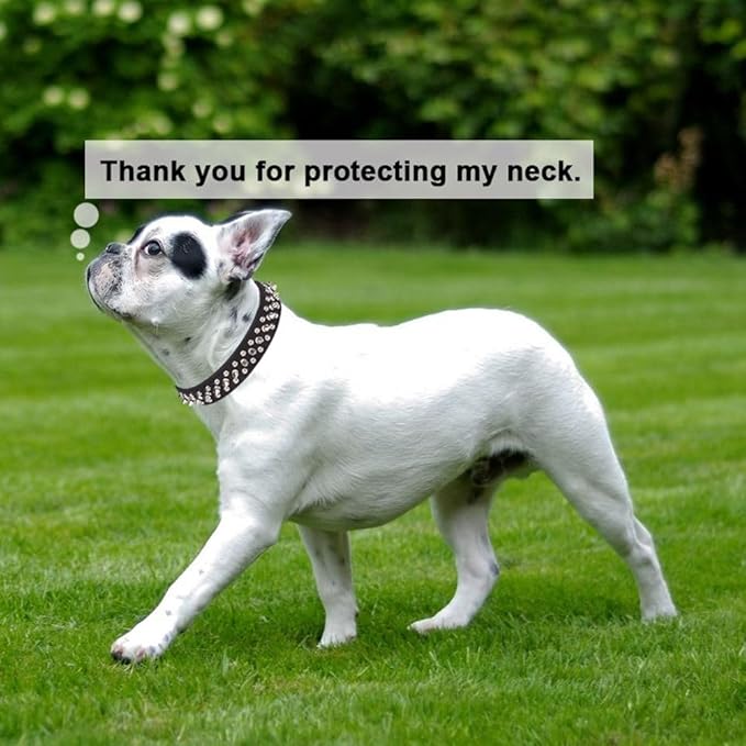Yellow Puppy Spike Collar, Mushrooms Rivet Spiked Dog Collar Anti-Bite Studded Protective Pet Neck Faux Leather Cat Collars for XXS XS Small Medium Large Boy Dogs Male Kitten Goat, XS