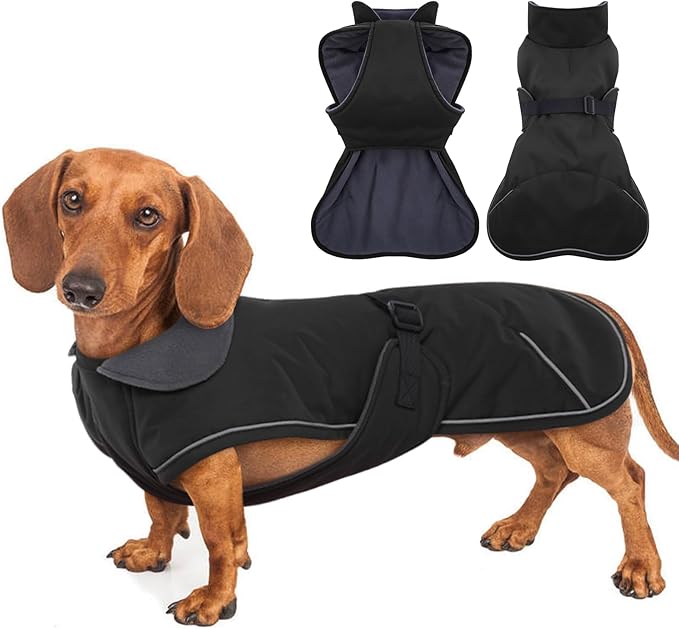 Windproof Waterproof Dog Coat for Dachshund -Black,XSmall- Miniature Dachshund Clothes, Small Dog Coat with Harness Built in, Reflective Dachshund Jacket with Buckle Closure