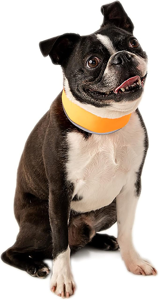 Hi-Vis Dog Cooling Collar - Orange Reflective Re-Freezable Ice Collar (Small)