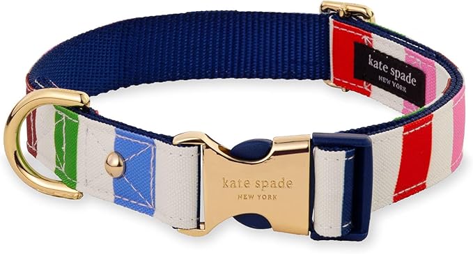 kate spade new york Cute Dog Collar with Gold Metal Details & Plastic Buckle, 15" to 22" Adjustable Dog Collar for Female or Male Dogs, Medium/Large, Adventure Stripe