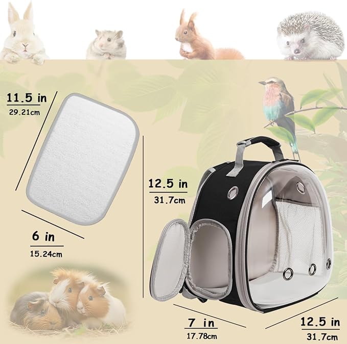 Bearded Dragon Carrier Backpack with Security Printing Harness Leash Set, Reptile Lizard Space Capsule Astronaut Clear Bubble Window Travel Carrier for Small Animal Guinea Pig(Black, Security Harness)