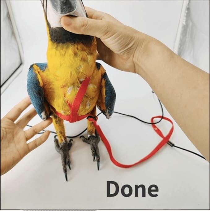 Adjustable Bird Harness with 78.7 Inch Leash, Outdoor Flying Training Rope Kit for Bird Parrots, Parrot Flying Rope Straps Outdoor Training Traction Rope for Small Medium Large Size Birds (L)