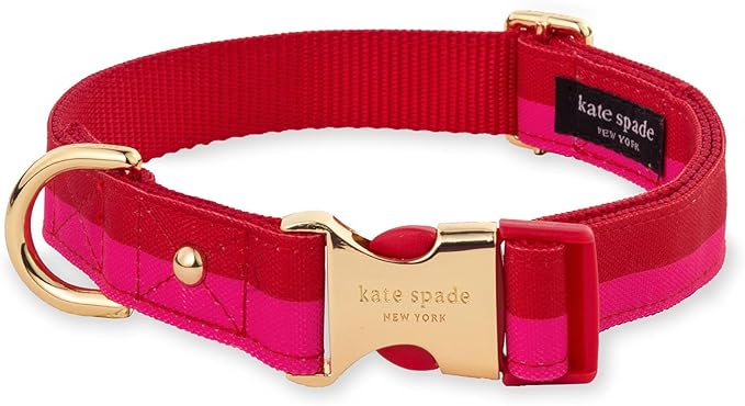 Kate Spade New York Cute Dog Collar with Gold Metal Buckle, 15.5" to 24" Adjustable Collar for Female or Male Dogs, Medium and Large Breeds (Red and Pink)