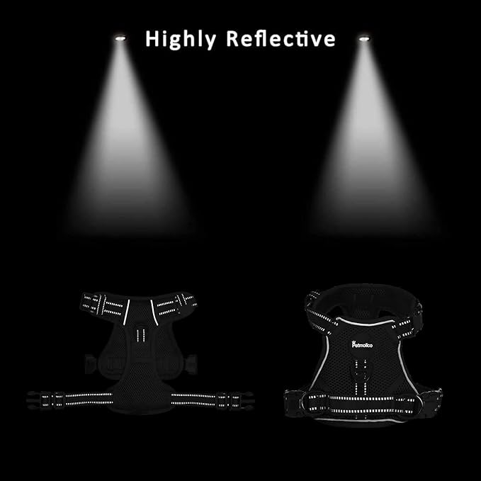 Petmolico No Pull Dog Harness and Leash Set, No Choke 4 Leash Attchments Easy Control Handle Soft Padded Reflective Vest Dog Harness for Medium Dog Breed, Pink Medium