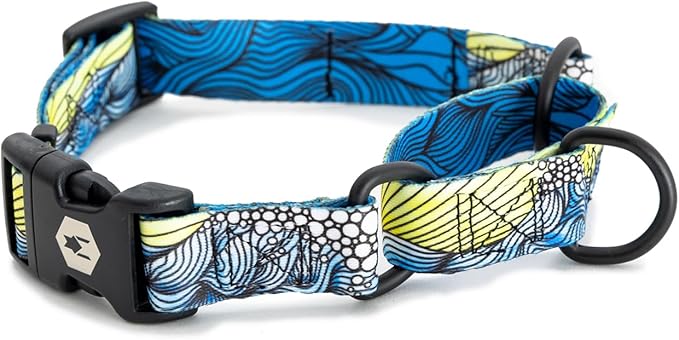 Wolfgang Heavy Duty Martingale Dog Collar with Quick Release Nylon Buckle for Walking & Training, DawnPatrol Print, Medium