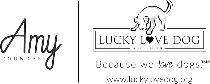 Lucky Love Dog - Adjustable Collar and Leash Set with Easy Click Buckle for Small to Large Dogs, Durable, & Comfortable Collar for Male & Female Dogs, Puppies & Adult - CarrieBelle Combo, XS