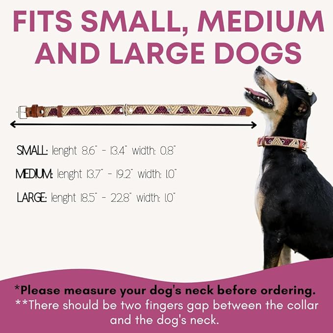 Western Dog Collar - Leather Embroidered Design for Small Medium Large Dogs & Puppy Pets - Aztec Southwest for Boy and Girl Female & Male Dogs - Collar para Perros Beaded (Large, Baja White)