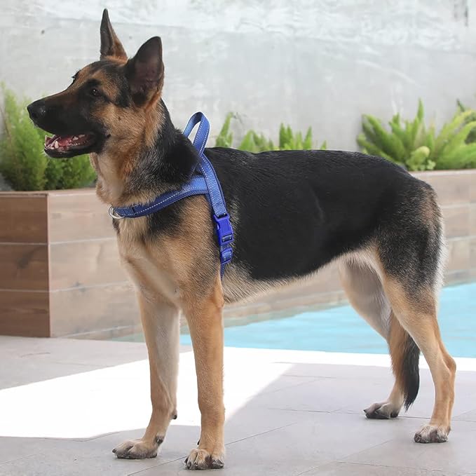 Plutus Pet No Pull Dog Harness with Breathable Mesh Padded, Adjustable Reflective Escape Proof Dog Harness, Quick Fit Dog Vest Harness for Small Medium Large Dogs(XL, Navy Blue)