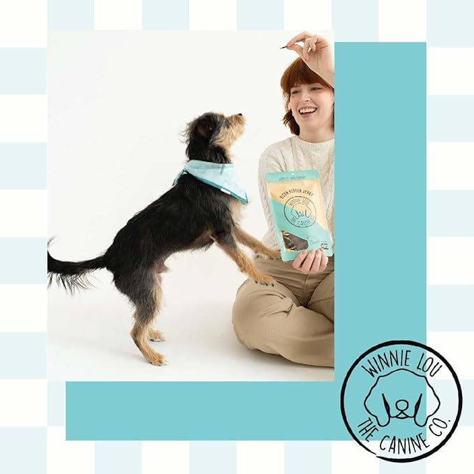 Winnie Lou - The Canine Co. Bison Burger Jerky Treats, 2.5 OZ