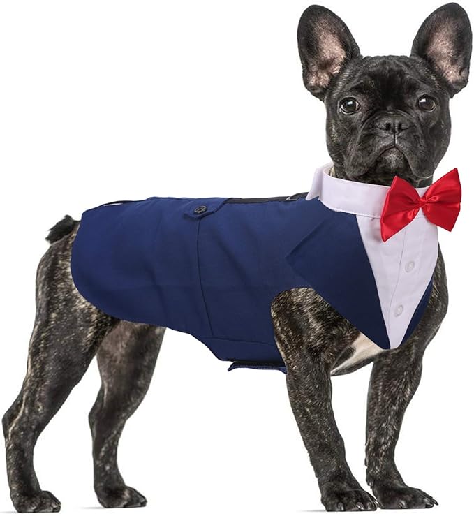 QBLEEV Tuxedo for Medium Dogs, Suit and Bandana Set, Wedding Outfit With Bow Tie, Formal Tux Costume for Halloween Christmas Birthday Party Cosplay, Blue M