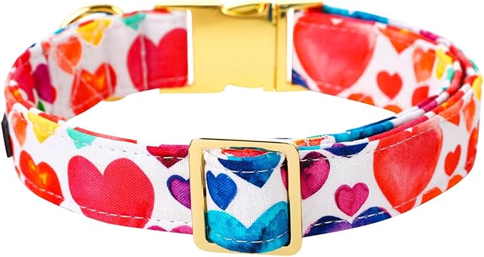 Lionet Paws Valentine Dog Collar, Heavy-Duty Cute Colorful Heart Pattern Pet Collar with Metal Buckle for Medium Large Dogs, Neck 16-24 inches