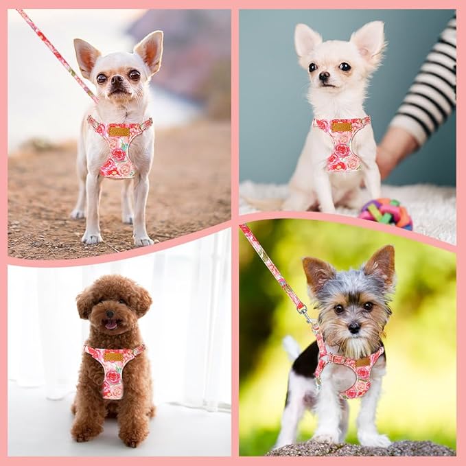 SlowTon No Pull Dog Harness with Leash - Soft Lightweight Floral Pattern Puppy Harness, Adjustable Pet Harness for Small Medium Dogs (Pink Rose M)