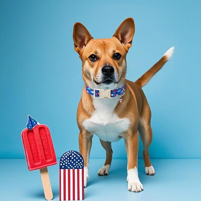 Lionet Paws 4th of July Dog Collar- Cute Blue Red Popsicle Dog Collars with Plastic Buckle and Icecream Pendant, Light Adjustable Dog Collars for Small Dogs
