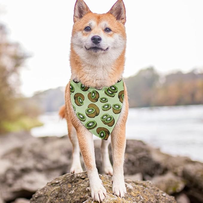 Tropical Kiwi Dog Bandana Scarf Triangle Bibs Pet Accessories Cat Kerchief