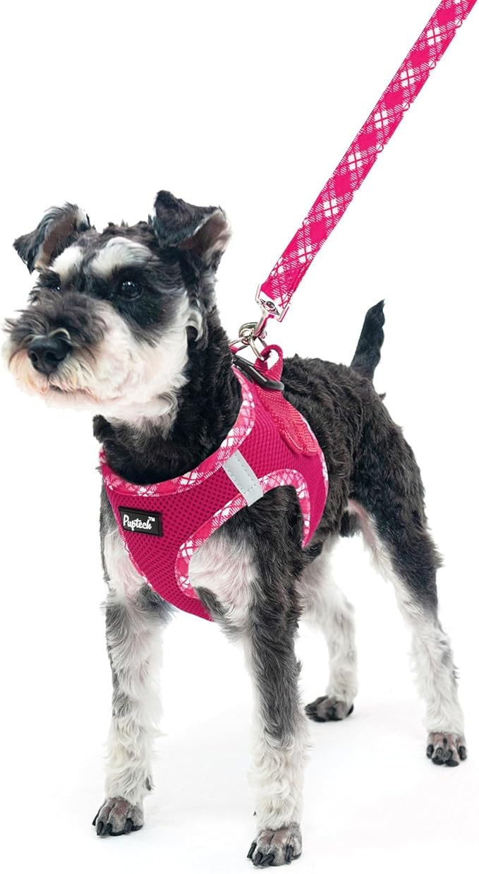 PUPTECK Dog Harness and Leash Set for Small Medium Dogs No Pull Step-in Soft Mesh Puppy Cat Vest Harnesses Reflective at Night, Fuchsia, L
