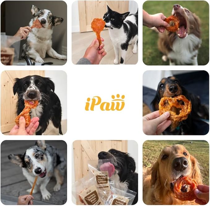 Turkey Tendons for Dogs, 100% Turkey and US Sourced Raw Material, Hypoallergenic, All Natural Human Grade Puppy Chew, Rawhide Alternative Dog Treats, 1 Unit/Pack Strip (Large)