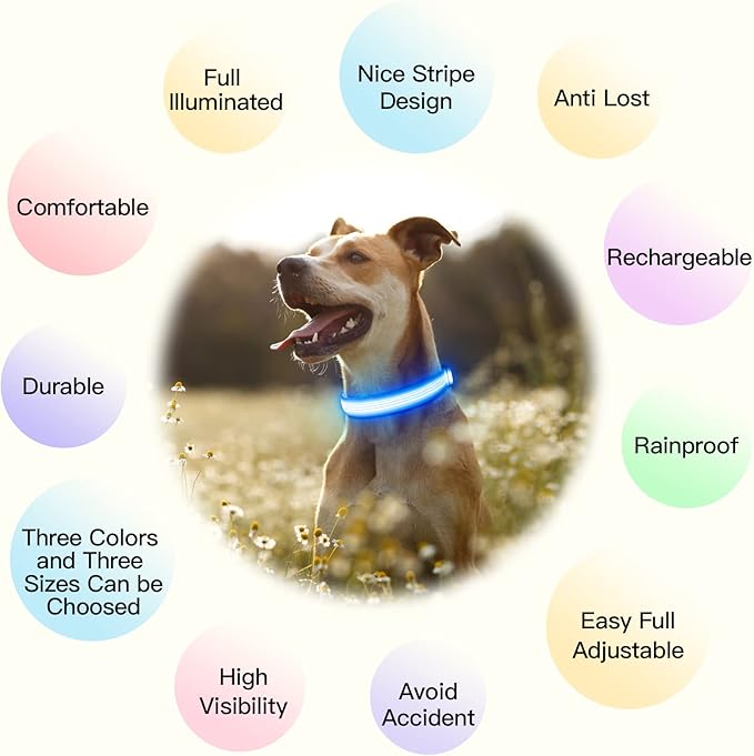 YFbrite Light up Dog Collar, USB Rechargeable LED Puppy Collar Super Bright Adjustable Glowing Dog Lights for Night Walking (Design-2- Blue, Large)