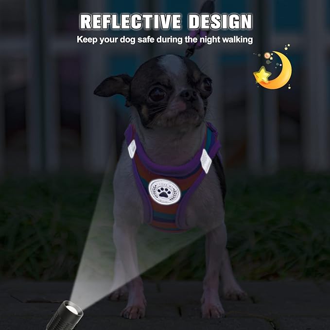 BEAUTYZOO Dog Harness and Leash Set for Small Dogs,No Pull Step-in Harness for Puppy XS S Sized Dogs and Cats,Air Mesh Adjustable Breathable Soft No Chock Escape Proof Vest Harnesses,Striped Purple XS