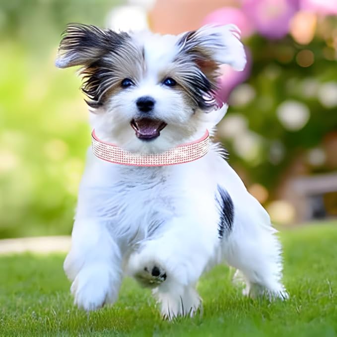 Bling Dog Collars for Large Dogs Female Diamond Fancy Crystal Glitter Pretty Jewel Rhinestone Puppy Collars for Small Medium Large Breed Pet Girl Dogs Cats Kitten, Pink L