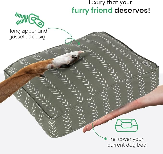 Molly Mutt Small Dog Bed Cover - Forever Young Print - Measures 22”X27”X5’’ - 100% Cotton - Durable - Breathable - Sustainable - Machine Washable Dog Bed Cover (Dd82a)