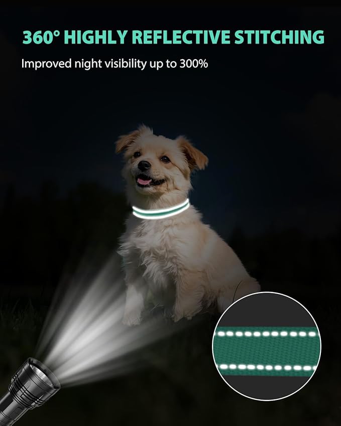 Joytale Small Dog Collar, Reflective and Adjustable Nylon Collar with Quick-Release Buckle, Lightweight No-Choke Design for Small Dogs, Teal, 5/8" Width