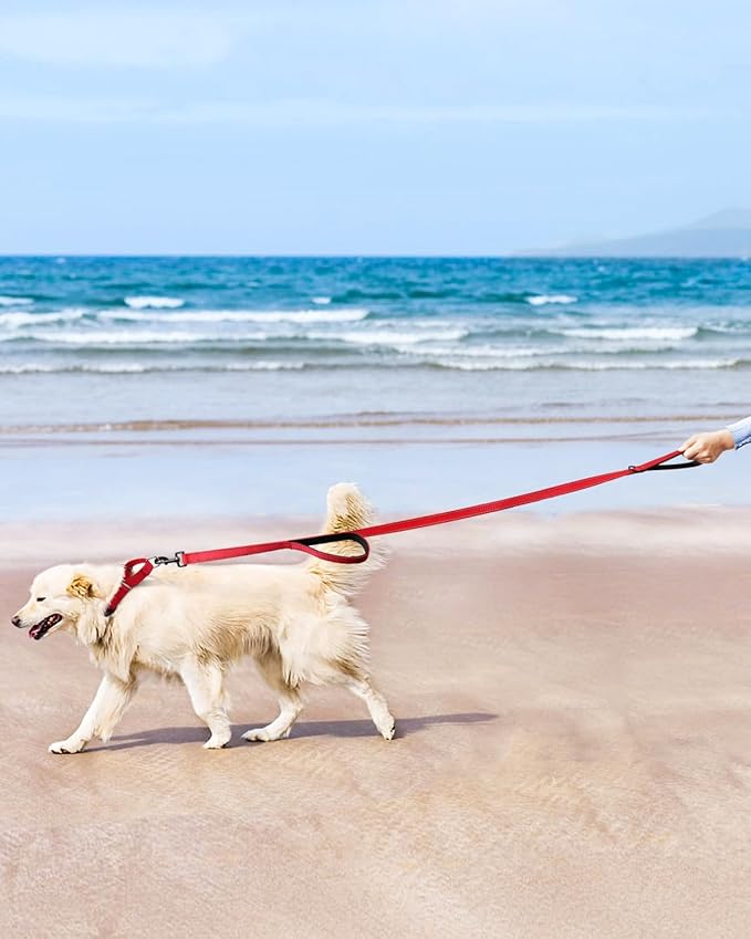 FunTags Reflective Martingale Collar for Dogs, Quick Release Buckle, 5FT Double Handle Dog Leash Padded, Dog Collar and Leash Set, Adjustable for Small Dogs (Red, S)