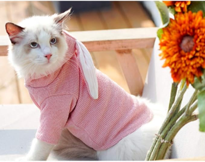 ANIAC Funny Dog Hoodies for Small Dog Girl Boy Bunny Ears Dog Clothes Hooded Puppy Sweatshirt Cat Apparel Pet Costume for Easter Halloween Christmas Holiday (X-Large, Pink)