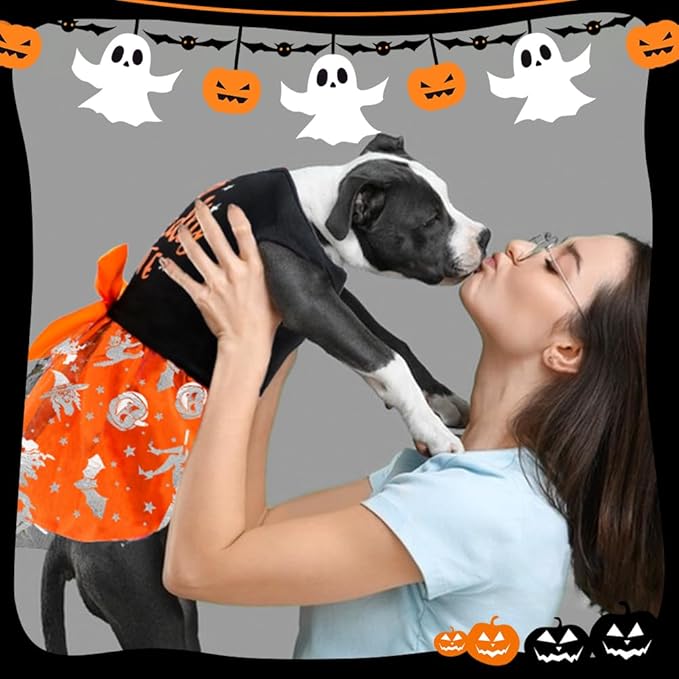 Wickedly Cute Dog Dresses - Halloween & Christmas Pumpkin Witch Bat Costume for Small & Large Dogs (XX-Small, Wickedly Cute)