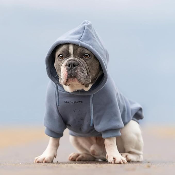 Spark Paws Dog Hoodie - Premium Quality, Buttery Soft, Superior Comfort and Fit, Calming Fleece Interior, Suitable for All Breeds - Slate Blue - 4XL