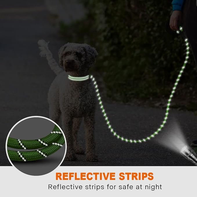 Taglory Rope Dog Leash 6FT with Comfortable Padded Handle, Highly Reflective Threads Leash for Small Dogs, 3/8 inch, Green