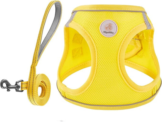 Dog Harness and Leash Set, No Pull Soft Mesh Pet Harness for Small Medium Dogs, Cats - Step in Adjustable Reflective Puppy Harness with Buckle and Double D-Rings - Yellow, XXS