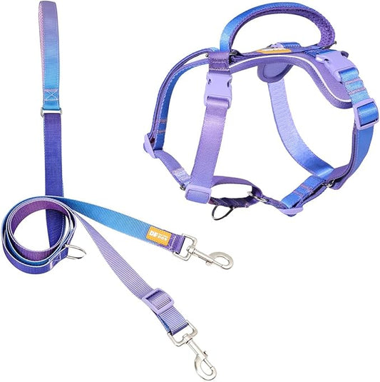DF Freedom No Pull Martingale Dog Harness and Double-Ended Leash Set, Safety Control to Stop Pulling, Reflective & 5-Point Adjustable, Support Padded Handle, Rainbow Pro, 3/4", Chest 22.4" - 30.4"