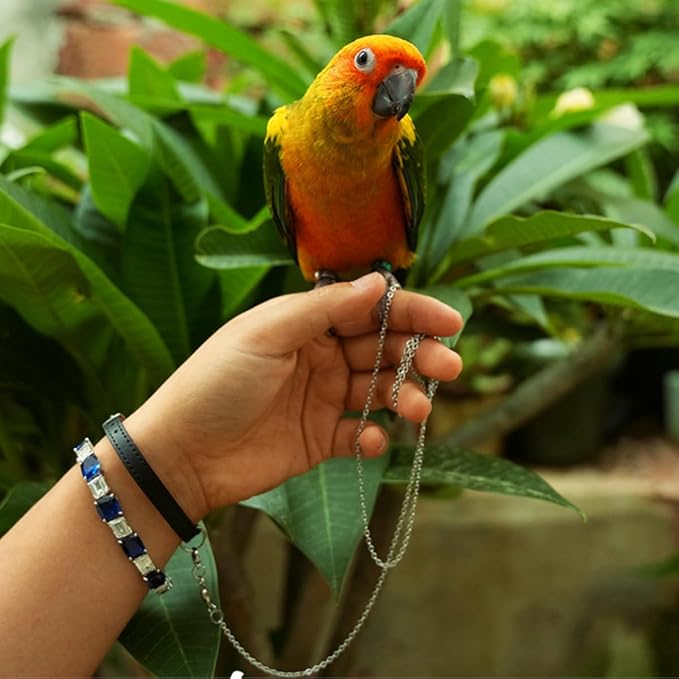 Bird Foot Chain Flying Stainless Steel Training Rope with Leather Wrist Strap Outdoor Parrot Ankle Foot Ring Accessories Bird Harness Leash Prevent Escaping (Model 7 Set)