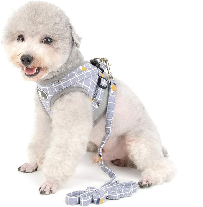 Zunea No Pull Small Dog Harness and Leash Set Adjustable Reflective Step-in Chihuahua Vest Harnesses Mesh Padded Plaid Escape Proof Walking Puppy Jacket for Boy Girl Pet Dogs Cats Gray M