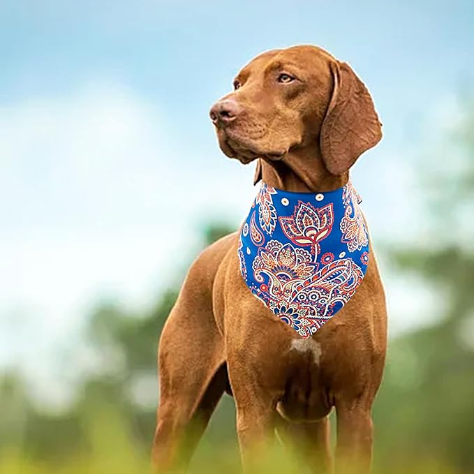 30 Pack Paisley Dog Bandanas Bulk 33 Inche Extral Large XL Dogs Breed Bandanas Adjustable Polyester Print One Side Triangle Bandana Girl Boy Grooming L