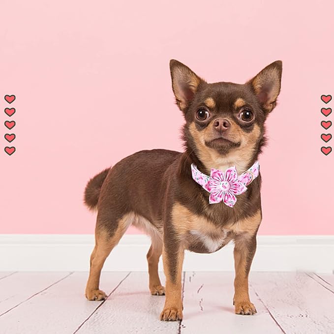 Lionheart Glory Valentine's Day Collar with Flower - Pink Collar with Bowtie for Medium Dogs