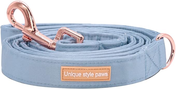Unique style paws Silk Dog Leash Durable Dog Leashes with Welded D-Ring Comfortable Handle for Small Medium Large Dogs