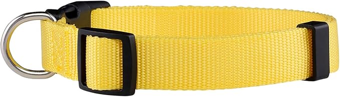 Native Pup Basic Nylon Dog Collar, Adjustable for Small, Medium, Large pet and Puppies Accessories, Cute Colors for Male, Female, boy, Girl, Puppy (Large, Yellow)