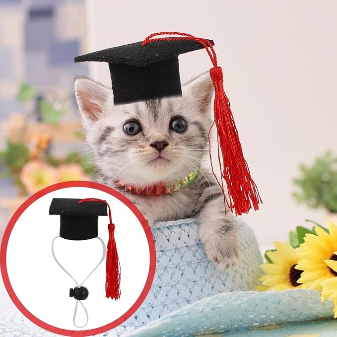 KESYOO 4pcs Red Small Dog Graduation Cap with Tassel Pet Graduation Accessories