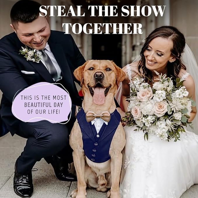 Dog Tuxedo for Wedding Outfit, Dog Suit and Tie Costumes for Birthday, Halloween, Cosplay, Christmas Party, Pet Formal Wear with Bowtie, Tux for Medium Large Dogs, Bulldog, Labrador, Husky