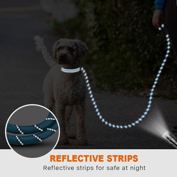 Taglory Rope Dog Leash 6FT with Comfortable Padded Handle, Highly Reflective Threads Leash for Small Dogs, 3/8 inch, Blue
