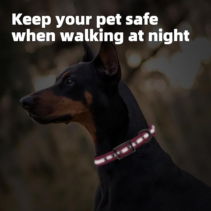 PUPTECK Heavy Duty Dog Collar with Handle Bungee for Small Medium Large Dogs, Tactical Dog Training Collar for Easy Control, Reflective Padded Dog Collars for Walking Running, Deep Pink, S