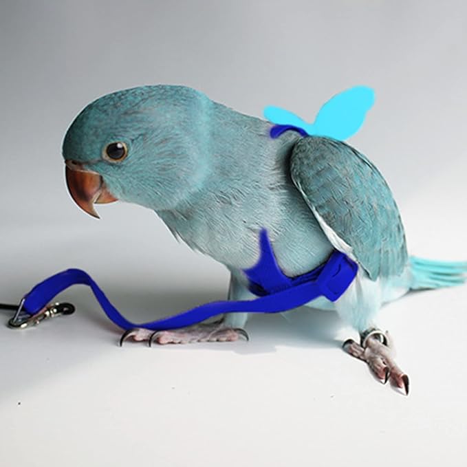 Peony Harness and Leash, Adjustable Parrot Bird Training Design Anti-Bite, Bird Nylon Rope with Cute Wing for Peony Parrot and Same Size Birds (M, Blue)